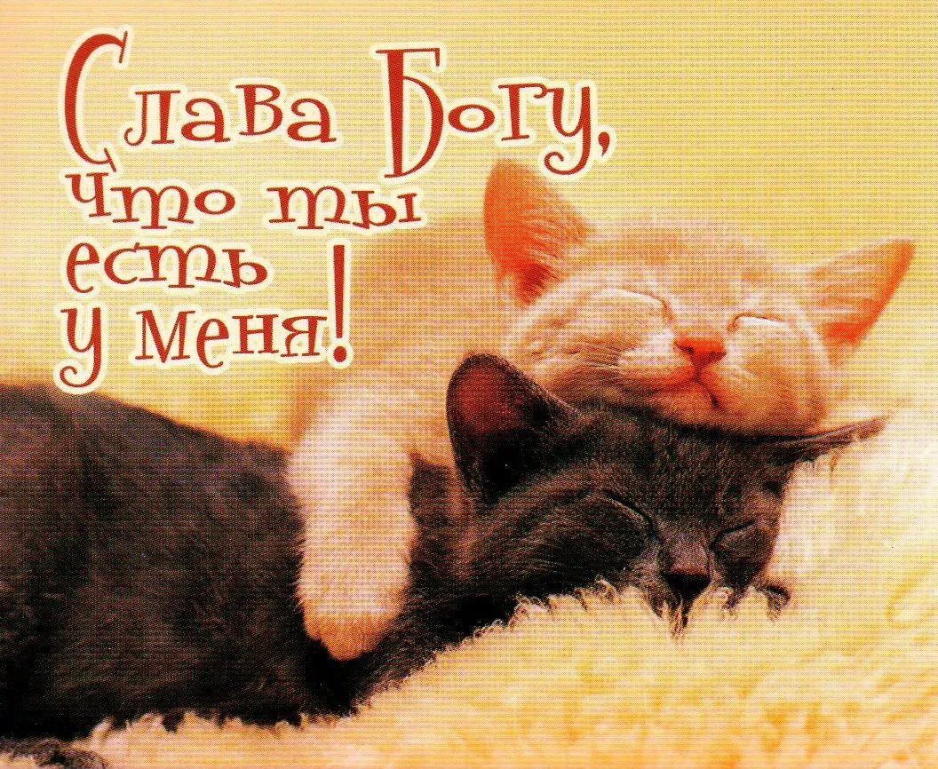 Страстные Картинки С Добрым Утром